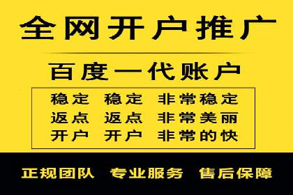 竞价推广代运营服务，打造高效广告投放体系
