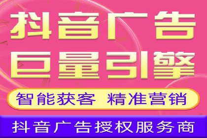 行业领先企业的SEM运营策略案例解析